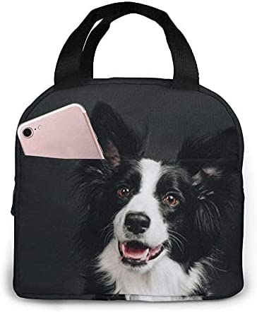 Túi Đựng Đồ Ăn Trưa Trẻ Trung  - đánh giá và giá Women'S Young Bags